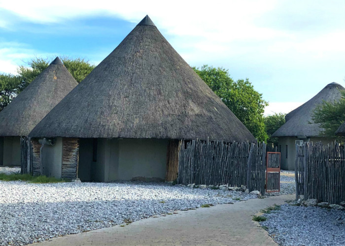 Jour 17: Otjiwarongo – Parc National d’Etosha  280 km