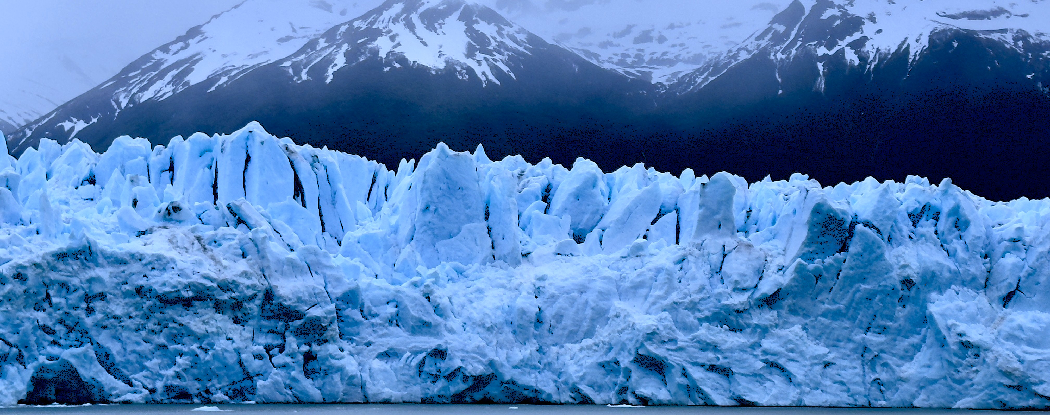 Jour 8 EL CALAFATE