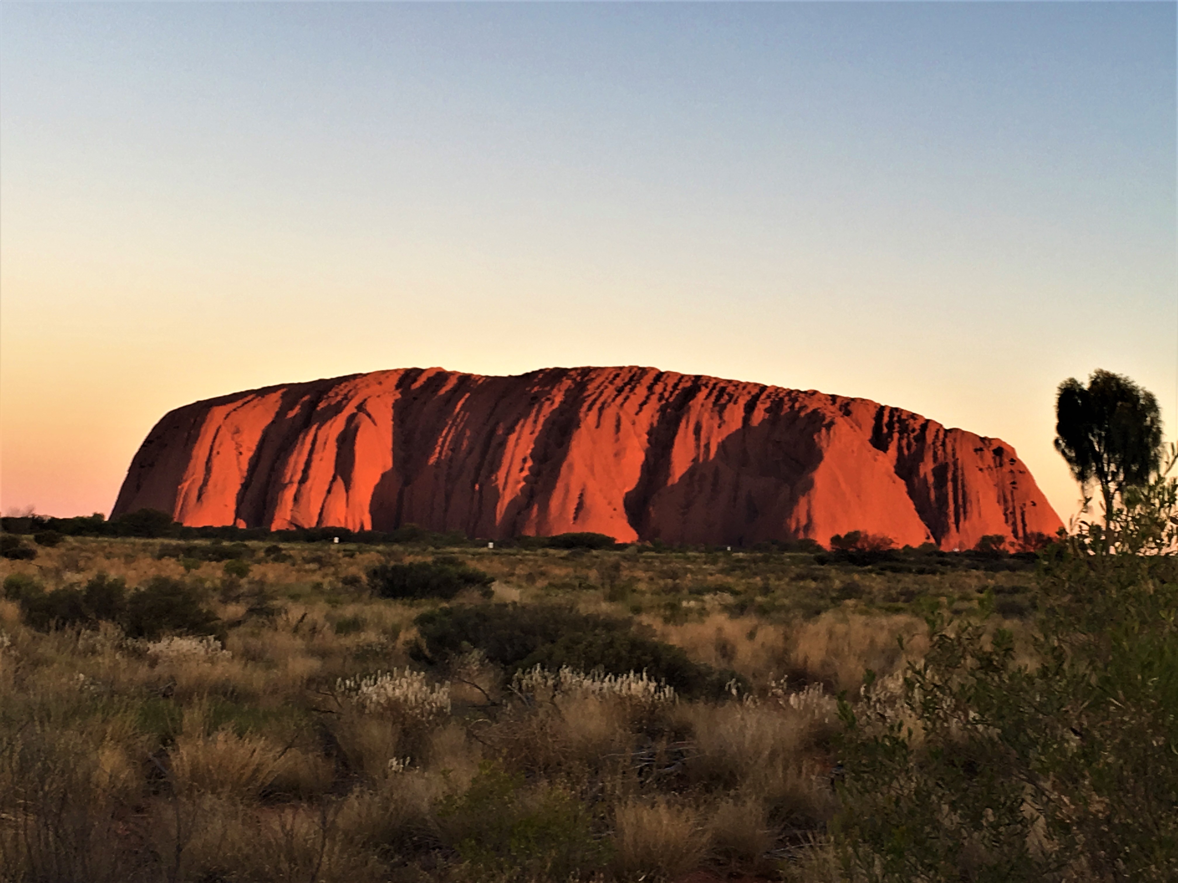 Jour 9:  Cairns - Ayers Rock (Uluru)