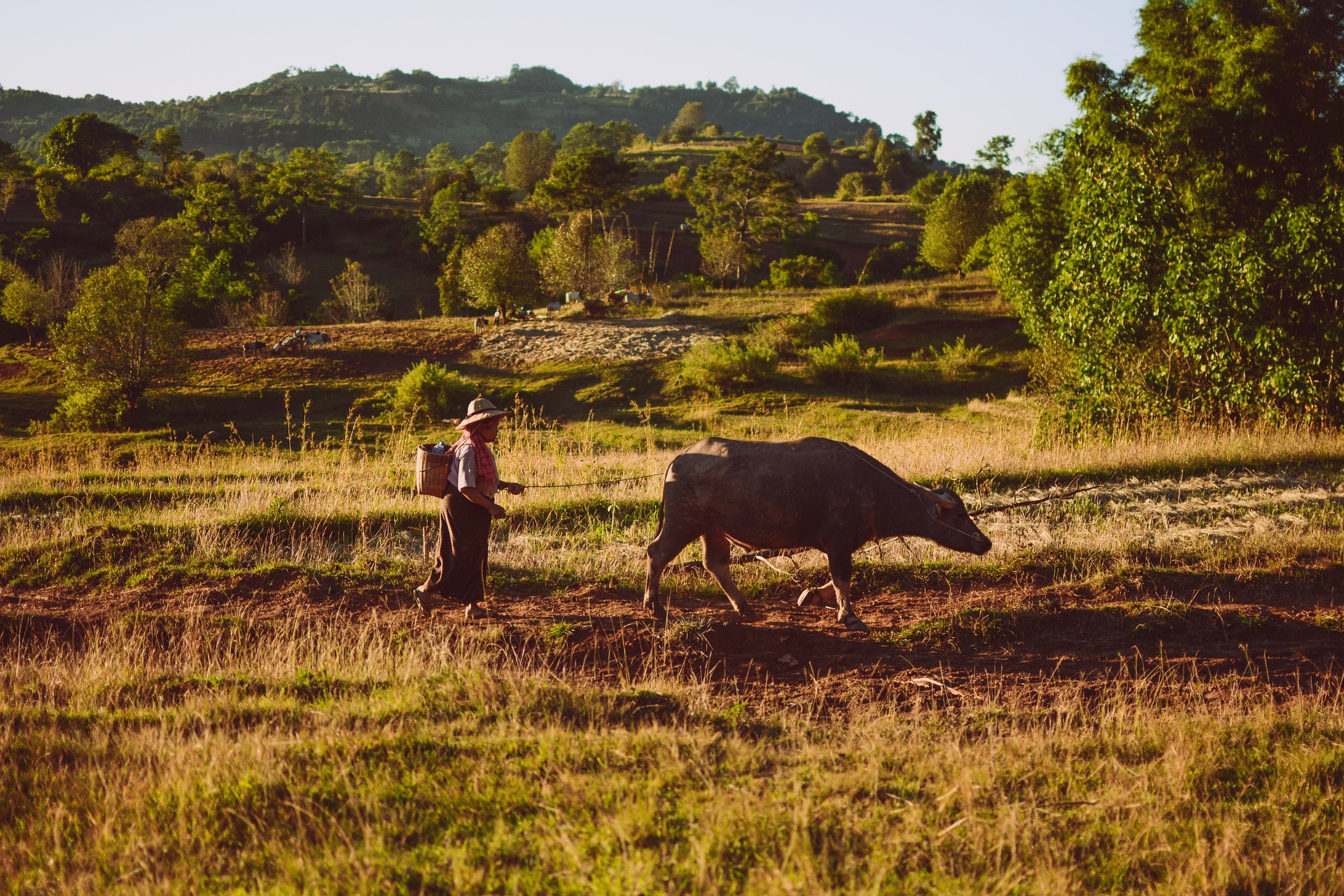 JOUR 10: Kalaw 