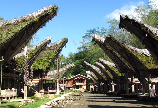Jour 10 NORD TORAJA — BATUTUMONGA -TORAJA
