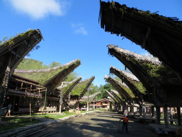 Indonésie  (iles Java, Sulawesi, Bali)  
