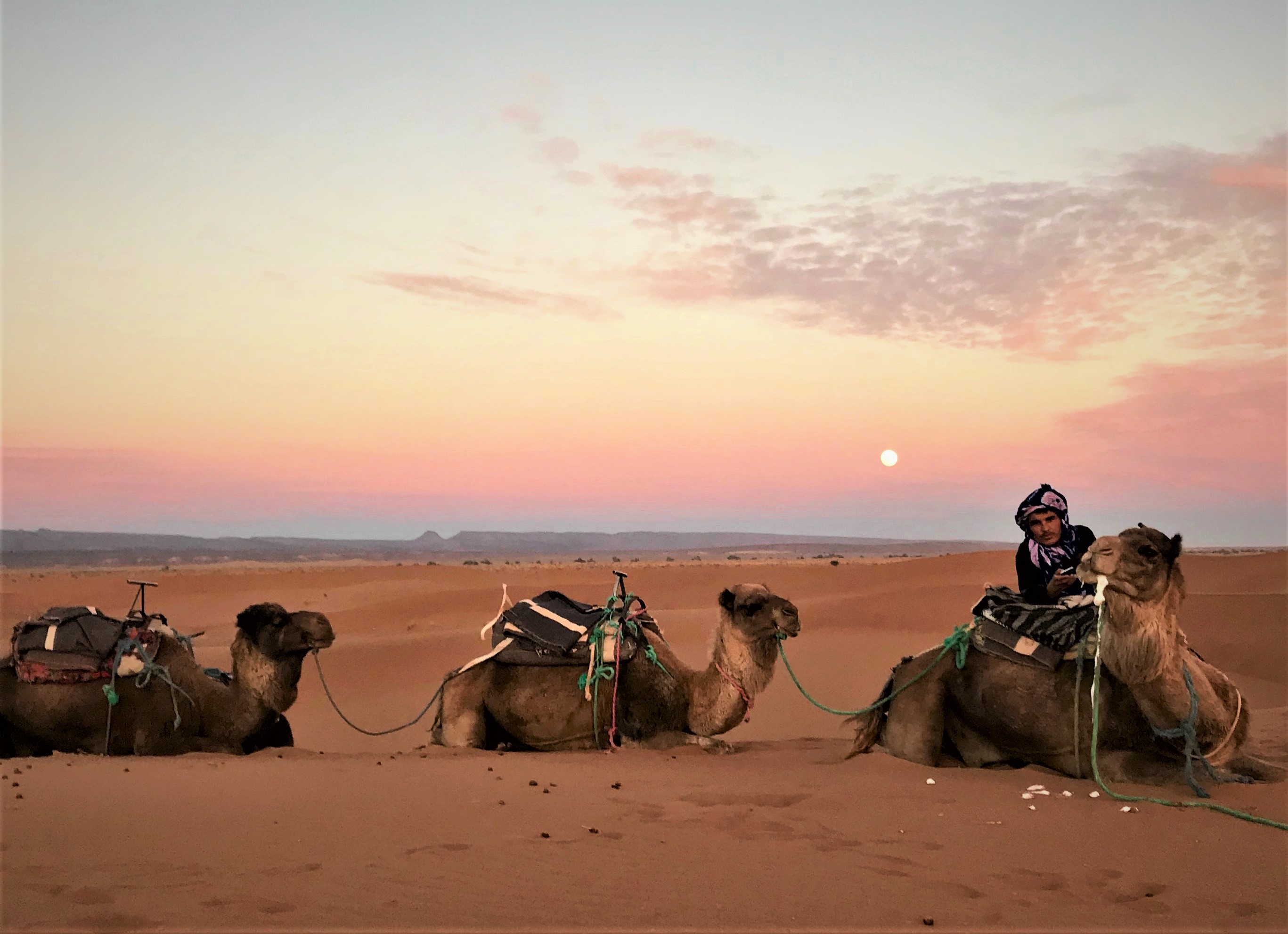 Jour 10: ERFOUD -MERZOUGA 