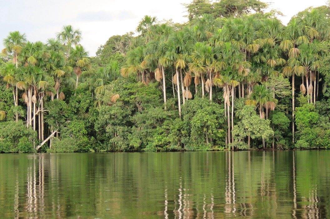 Jour 19: - CUZCO / PUERTO MALDONADO (AMAZONIE)