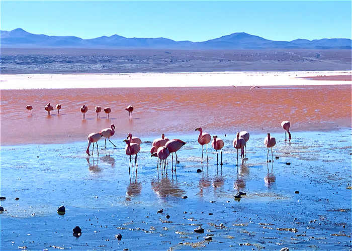 JOUR 22 : UYUNI / POTOSI / SUCRE 
