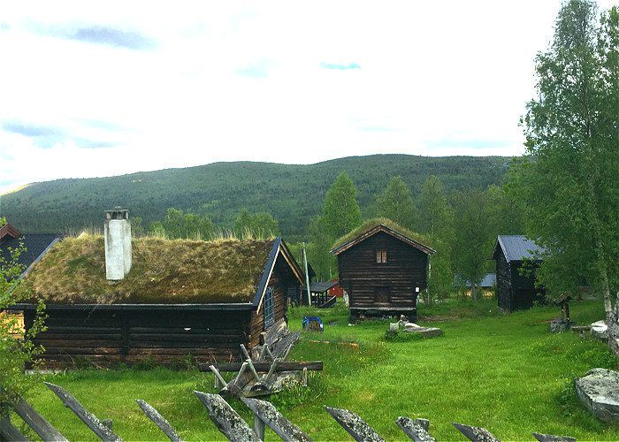 Jour 16 - Bergen - Geilo - Hardangerfjord